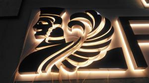 Quality Stainless Steel Backlit Channel Letter Signs 9000K 18mm CE Certificated wholesale