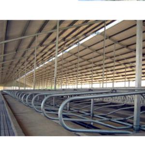 Quality Strong Advantage Welded Stainless Steel Cow Feeding Freestand Divider with Painted wholesale