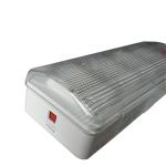 Indoor 110 Volt Ceiling Mounted Emergency Light Fixture With Outdoor CE / RoHS