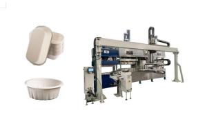 Quality Biodegradable Pulp Molded Meat Tray Machine wholesale