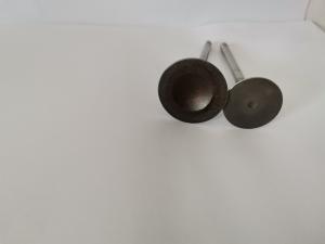 China 4221ECB Automotive Engine Exhaust Valves , AUDI / VW Engine Valve on sale