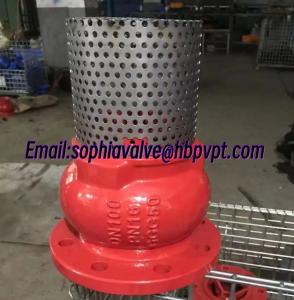 Quality DN100 PN16 GGG50 ductile iron foot valve supplier wholesale