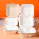 155mm Eco Friendly Square Bagasse Lunch Box Food Container For Restaurant