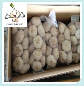 Quality New Crop Fresh White Garlic Exporter Normal White Garlic - Jinxiang New Crop wholesale
