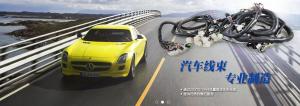Quality Vehicle Specific Aftermarket Wiring Harness Customized For Car Camera wholesale