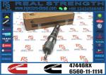 Fuel Injector 4928345 4001830 47446RX 4010029 For Cummins