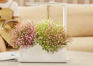 Quality Led Light 12V 9W Gardening PVC Hydroponic Herb Planter wholesale