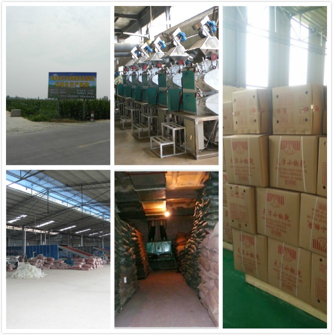 High Fruitiness Erjingtiao Dried Chilis For Chili Oils Ingredients