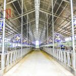 Easy Install Modern Cattle Shed , Prefabricated Metal Farm Barns