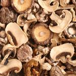 12-Month Shelf Life Dehydrated Flat Flavored Mushrooms