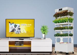 Quality Smart Indoor Hydroponic System For Planter Fashion Versatile Energy Saving wholesale