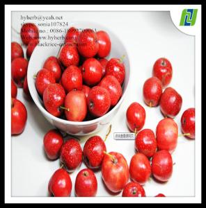 Quality hawthorn leaf extract powder 90% wholesale