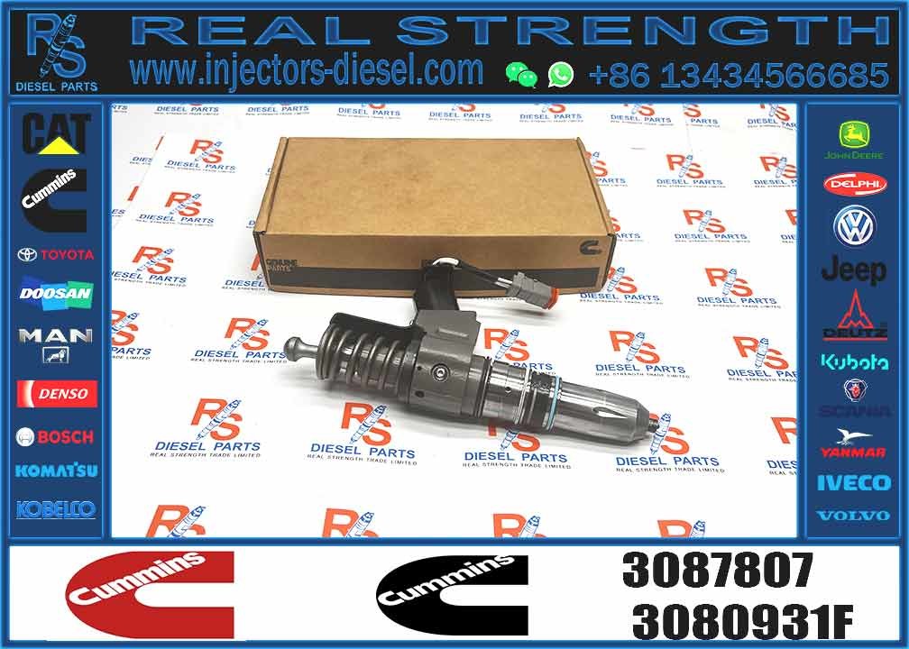 N14 Common Rail Fuel Injector 4307516N 3411767T 3407776 3087807 341176