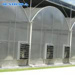 Oem Available Single / Multi Span Negative Fans Greenhouse Cooling System