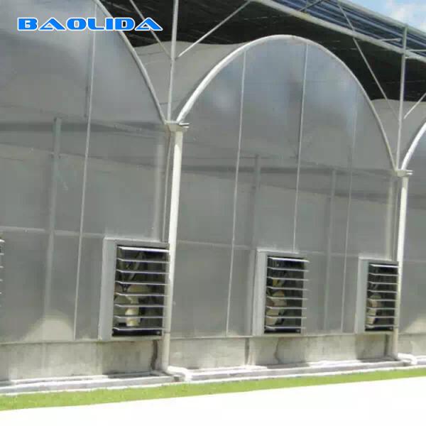Automatic System Multi-Span Greenhouse PC Polycarbonate Film Greenhouse Steel