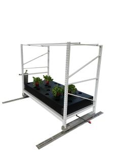 Quality 2ft*12ft Hydroponic Growing Rack Aeroponic Growing System With Cloner Bucket wholesale