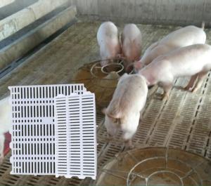 Quality Goat 300kgs Poultry Plastic Slat Floor 600x700mm PP Livestock wholesale