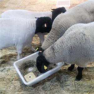 Quality Plastic 100mm Livestock Ear Tags Sheep Goat TPU Yellow wholesale