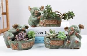 Quality Succulent Creative Animals Cute Pig Plant Flowerpots wholesale