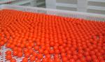 Ø 80 X 100 Paintball Die Roll / Capsule Mold With Corrosion Resistance