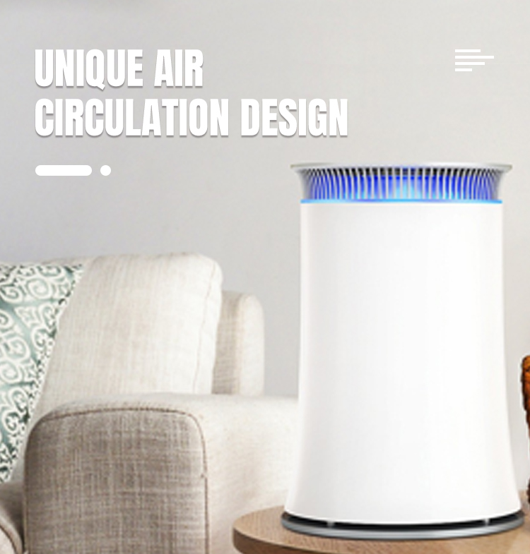 Indoor Household Portable Anion Air Purifier Low Noise 100-240V 24W