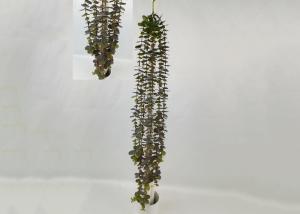 Quality Lifelike 80cm Artificial Lysimachia Christinae Hance wholesale