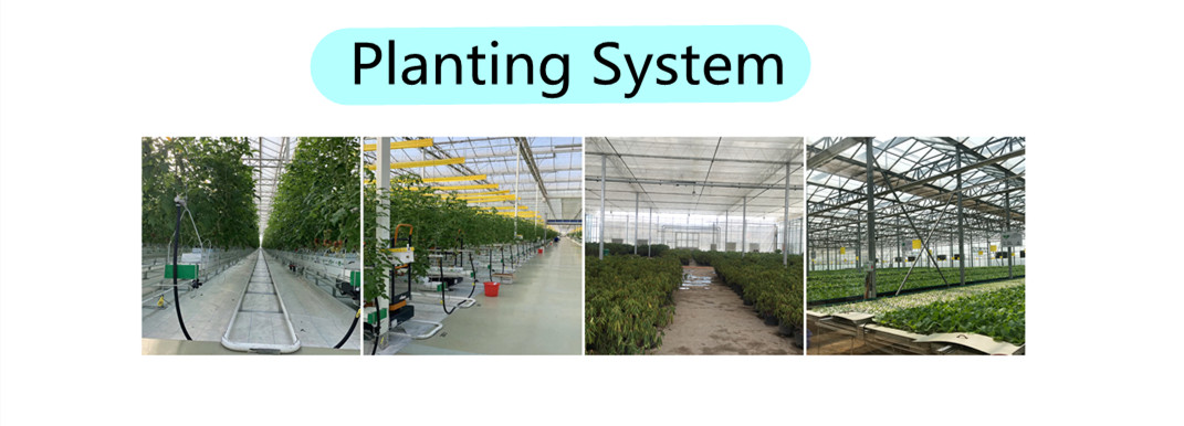 Hydroponic Vertical Farming Greenhouse for Herb and Tomato Growing in Customized Size