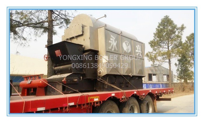 Durable 1-20t coal steam boiler and pellet fired boiler equipped with single drum with best price