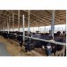 Buy cheap Q235B Q355B Steel Structure Cow Shed Economical Steel Frame Farm Buildings For from wholesalers