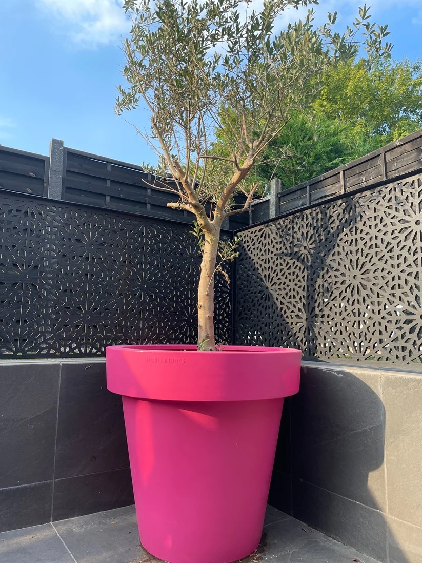 Unique Modern Fiberglass Flower Pots Glossy Finished For Indoor Outdoor Decor