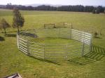15pcs Bundle Heavy Duty Portable Cattle Panels For Sale & Gate