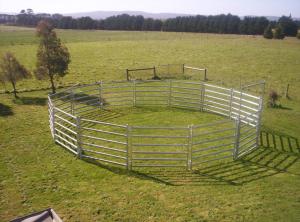 Quality 13 Panel Horse Arenas Inc Gate, round Yard, Cattle Fences, Corral 9m diameter wholesale