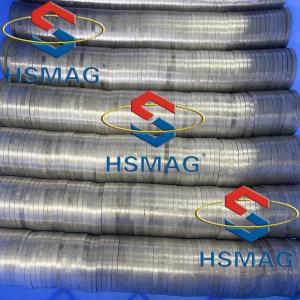 Quality HSMAG SmCo Super Powerful Ring Magnet Sm2Co17 Dsic Shape Magnet wholesale