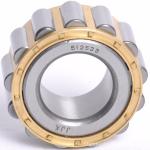 Track Laying Machines UD62.6218P NJP2224EM6 C4 Axle Box Roller Bearing