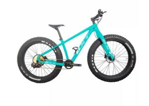 Quality 26 Carbon Snow Fat Bike Disc Brake Full Carbon Fiber 12 Speed Beach Cycle wholesale