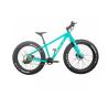 Buy cheap 26 Carbon Snow Fat Bike Disc Brake Full Carbon Fiber 12 Speed Beach Cycle from wholesalers