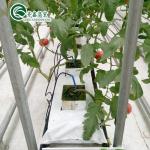 PO Film Protected Indoor Hydroponic Growing Systems for Greenhouse