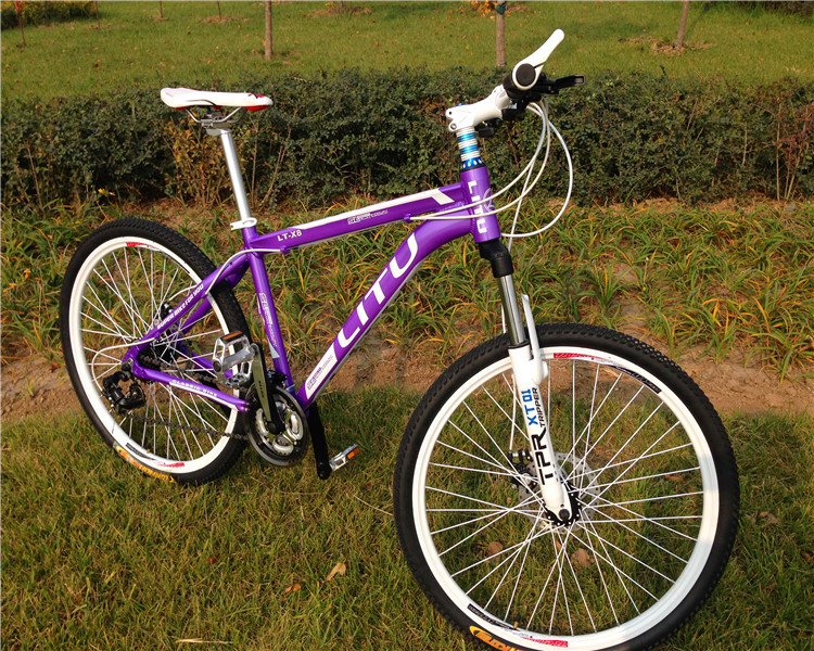 EN standard OEM special 24 spoke wheel Shimano 21 speed light 6061 aluminium alloy mountain bike for travel