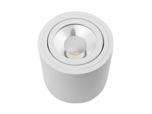 Quality Surface Round Mounted COB Commercial Lighting Fixture SEC-L-DL121 wholesale