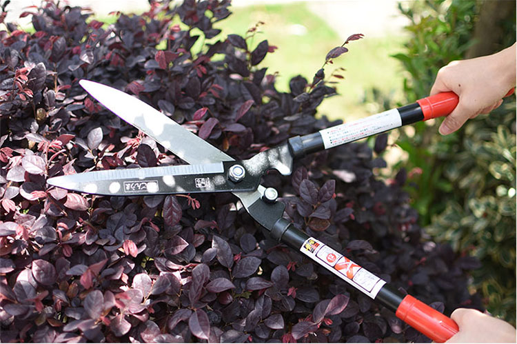 Landscaping Long Handled Tree Loppers Hedge Trimmer Retractable Large Telescopic Bypass Loppers