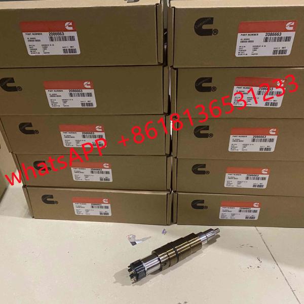 2029622 Genuine Diesel Common Rail Fuel Injector 1948565 2030519 2031836 2031835