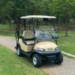 2 Passenger Electric Golf Cart 48V Lithium Battery