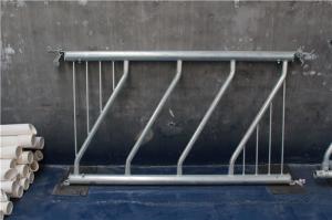 Quality Silver Iron Cattle Feed Barriers Cow Farm Equipment Corrosion Resistance wholesale