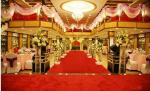 5mm Thickness Commercial Floor Mat Wedding Welcome Celebration Brushed Carpet