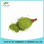 High Quality Slim Fast Green Tea Powder