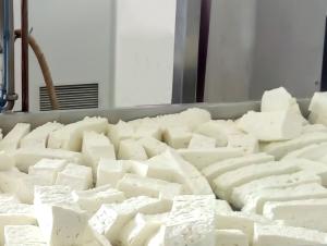 Quality Pasteurized US316 500L Dairy Cheese Making Equipment wholesale