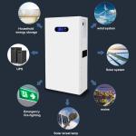 Lithium Ion Wall Mounted LiFePo4 Battery 48V 200ah Home Energy Storage Battery