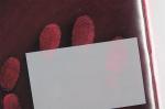 C103 Red fluorescent fingerprint powder