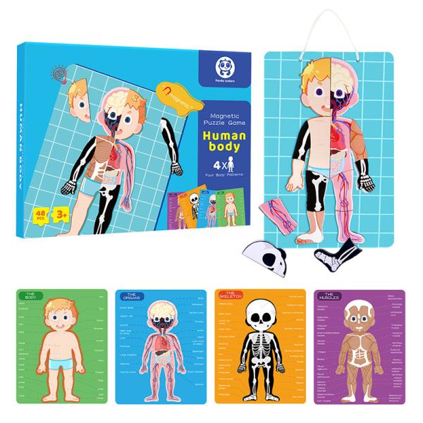 Body Parts Organs Puzzle Human Anatomy Puzzle Toys Boy Girl Anatomy Play Set For