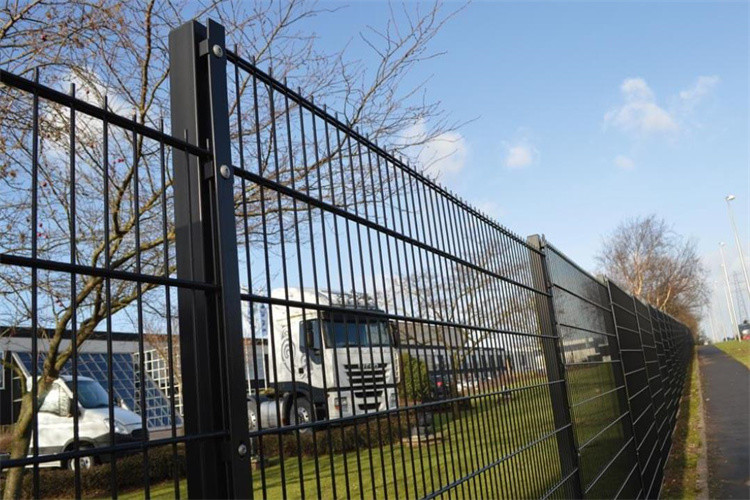 Powder Coated Twin Wire Fencing Use For Sports Fencing 8/6/8